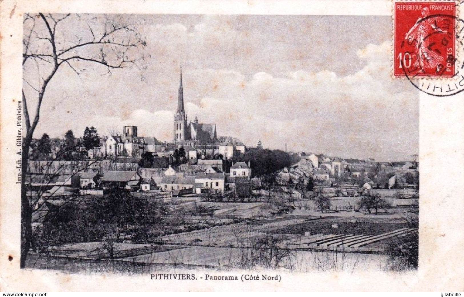 45 - Loiret - PITHIVIERS -  Panorama - Coté Nord - Pithiviers