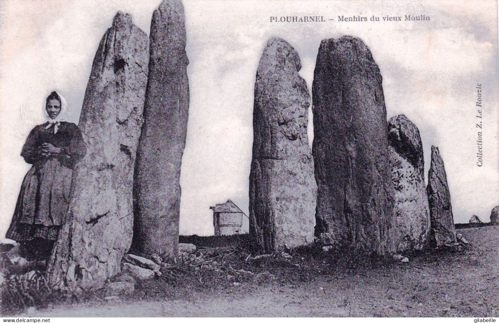 56 - Morbihan -  PLOUHARNEL -  Menhirs Du Vieux Moulin - Other & Unclassified