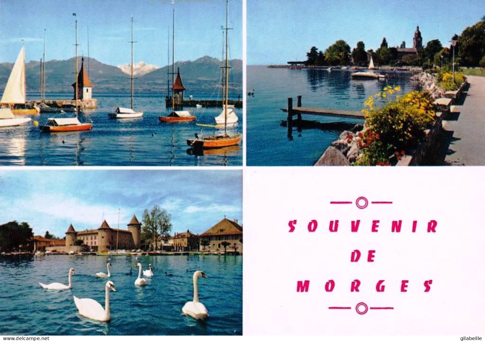 Suisse - Vaud -  Souvenir De MORGES - Sonstige & Ohne Zuordnung