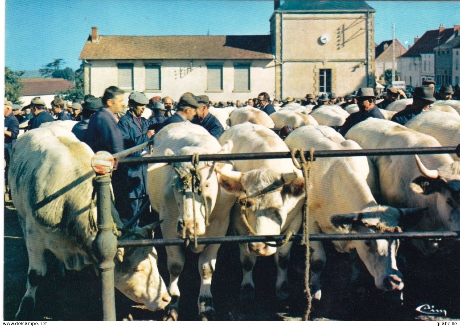 71 - Saone Et Loire -  SAINT CHRISTOPHE  En BRIONNAIS - La Foire Aux Bestiaux - Other & Unclassified