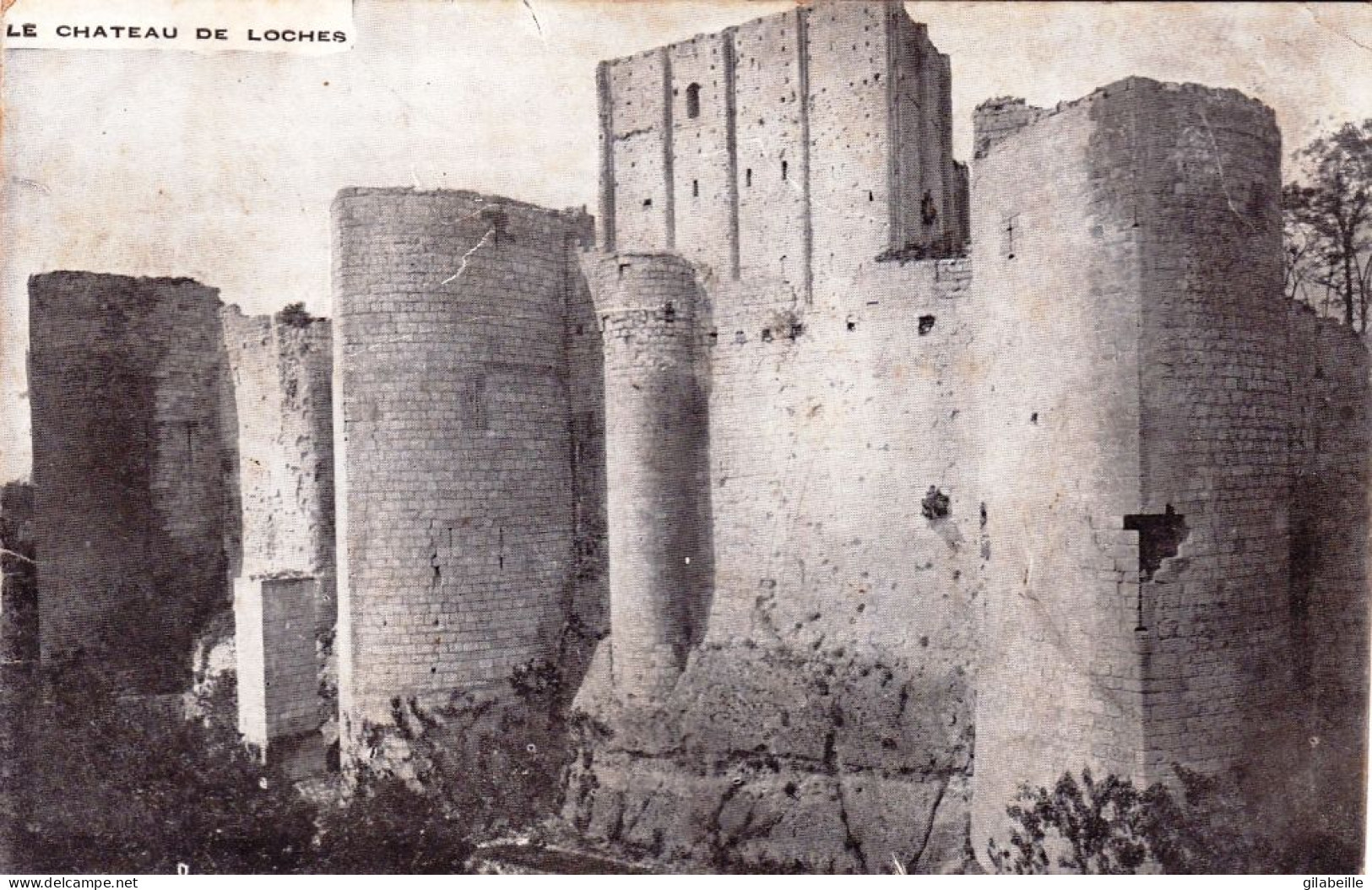 37 - Indre Et Loire -  Le Chateau De LOCHES - Loches