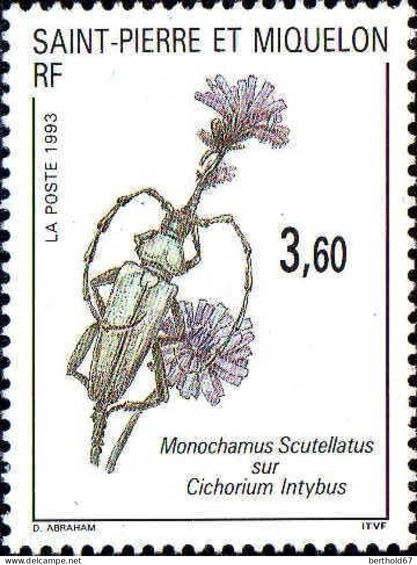 SPM Poste N** Yv: 575  Monochamus Scutellatus Sur Cichorium Intybus (Thème) - Autres & Non Classés