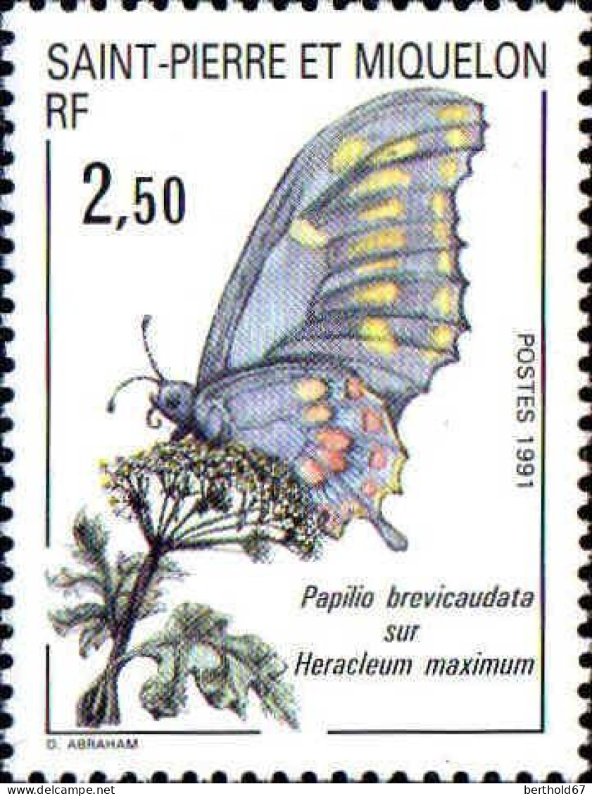 SPM Poste N** Yv: 534 Papilio Brevicaudata Sur Heracleum Maximum (Thème) - Butterflies
