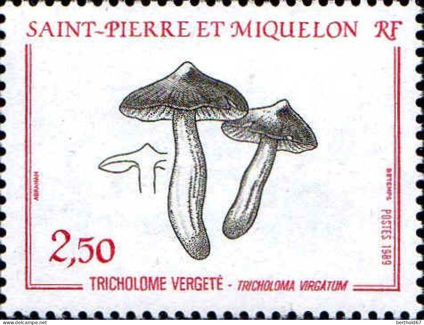 SPM Poste N** Yv: 497 Tricholome Vergeté-Tricholoma Vergatum (Thème) - Mushrooms