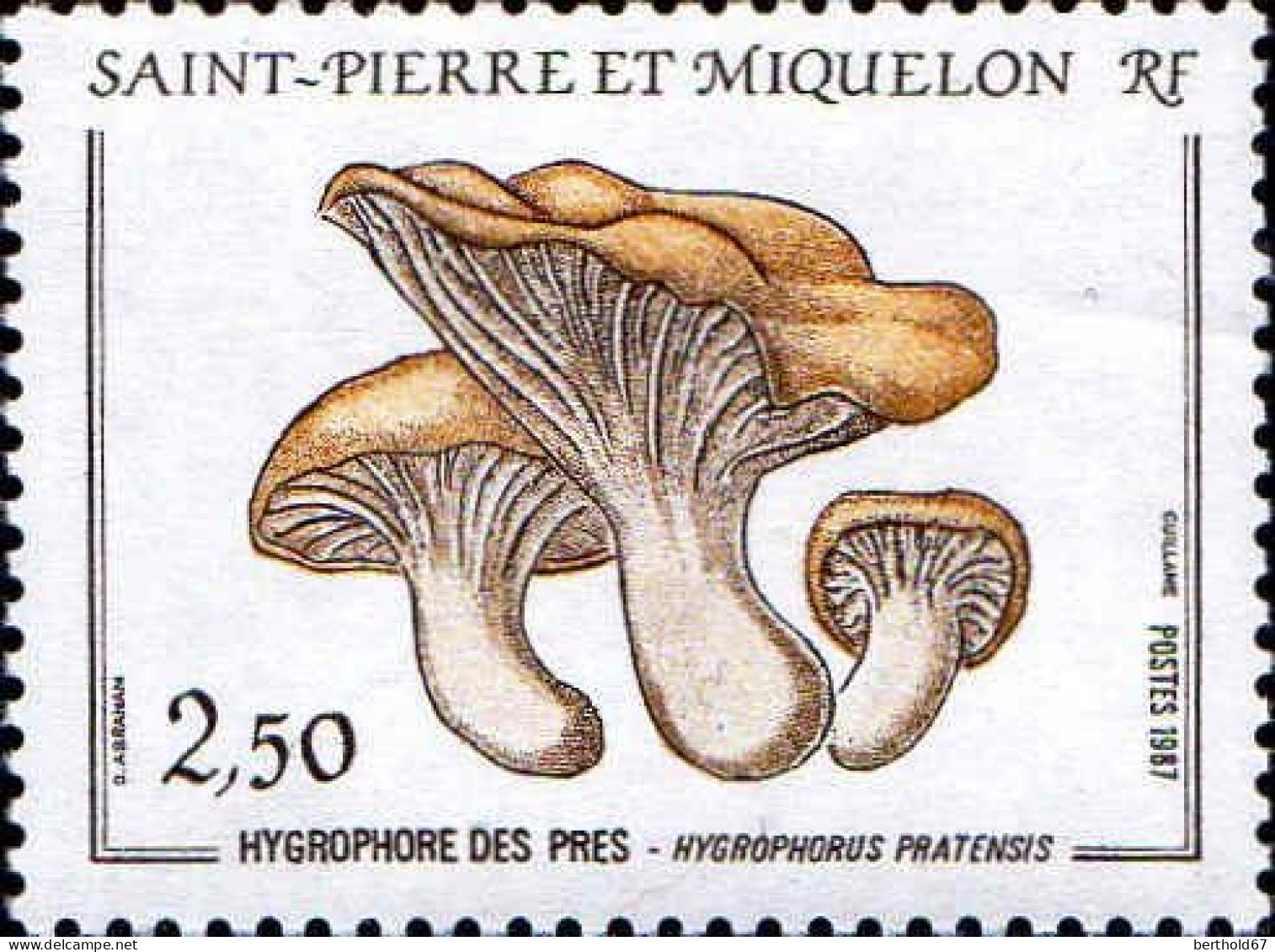 SPM Poste N** Yv: 475 Hugrophore Des Près Hygrophorus-pratensis (Thème) - Mushrooms
