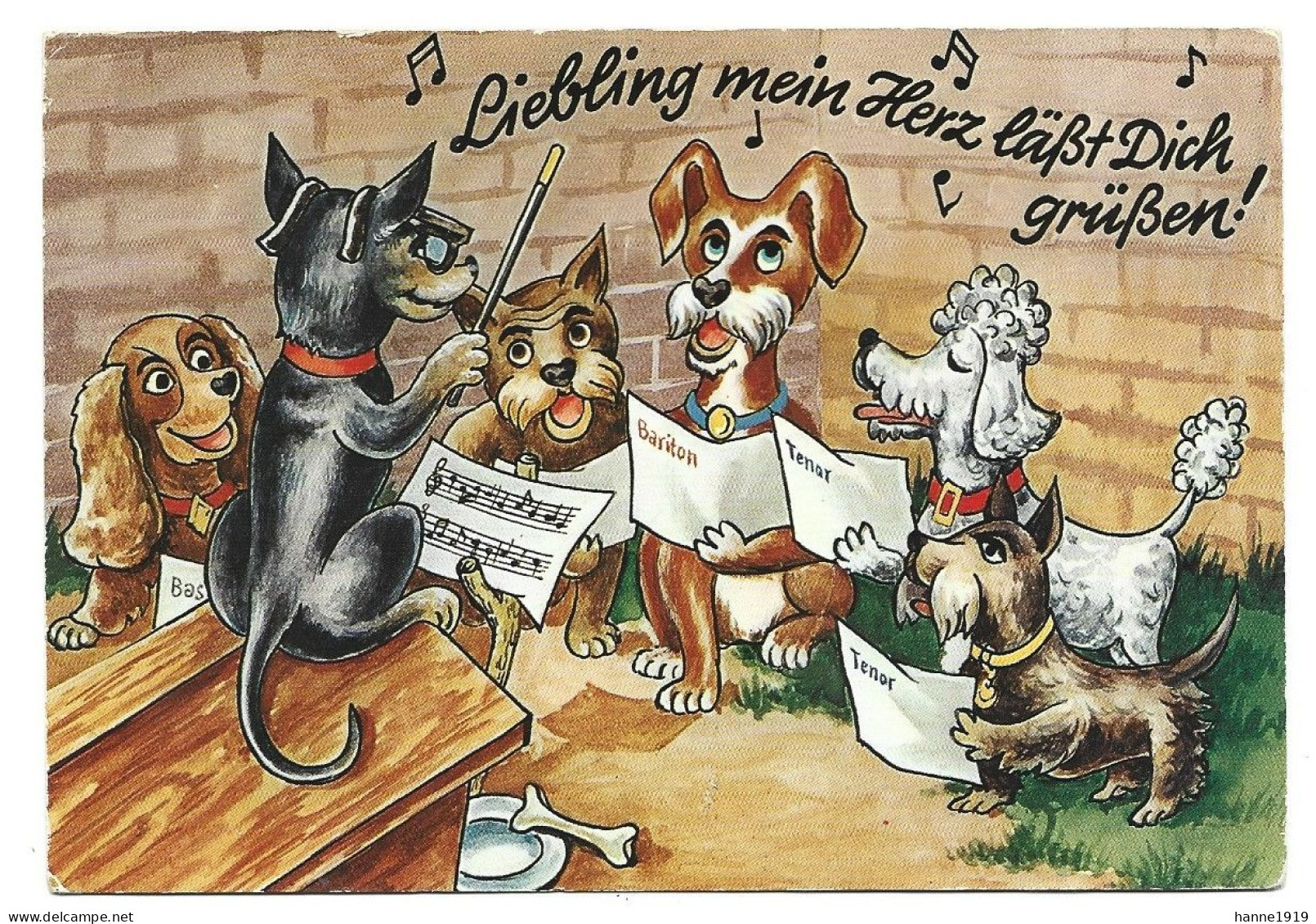 Hond Orkest Fantasie Kaart Dog Orchestra Chien Photo Carte Humour Humor Foto Prentkaart AK Htje - Hunde