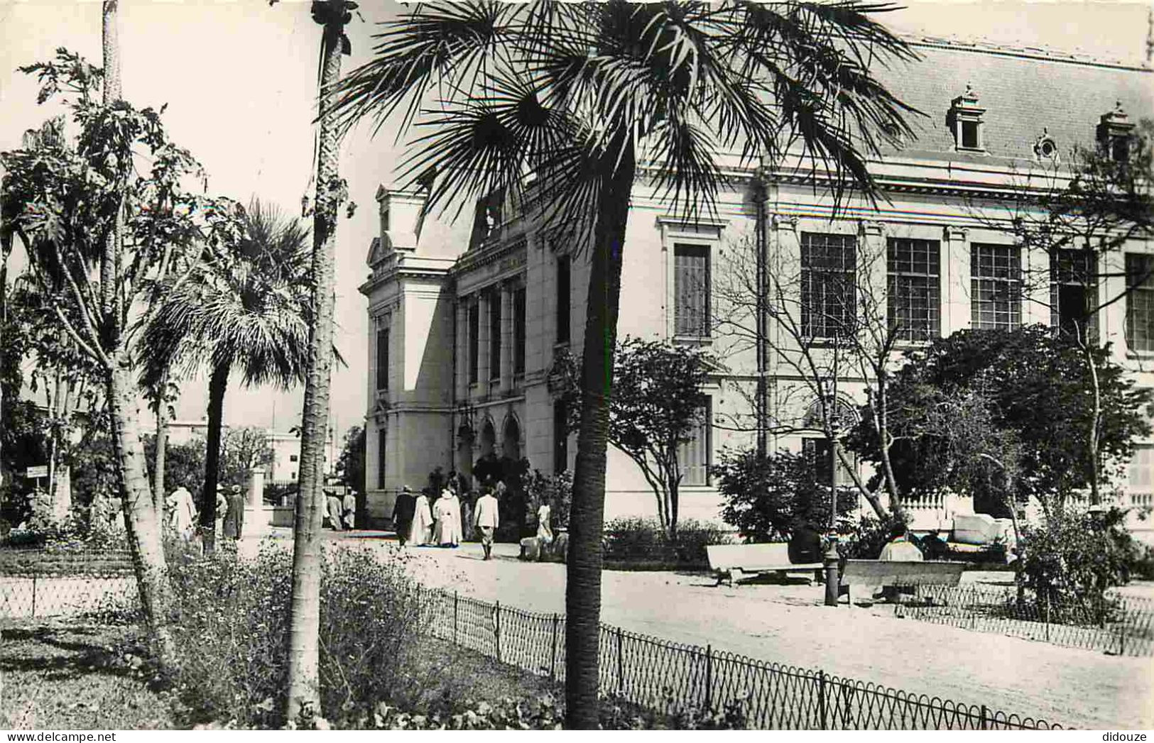 Sénégal - Dakar - La Mairie - Animée - Mention Photographie Véritable - Carte Dentelée - CPSM Format CPA - Voir Scans Re - Senegal