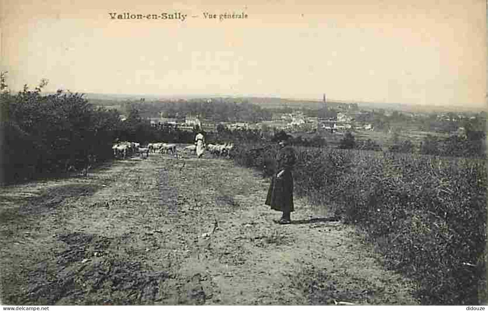 03 - Vallon En Sully - Vue Générale - Animée - Moutons - CPA - Voir Scans Recto-Verso - Sonstige & Ohne Zuordnung