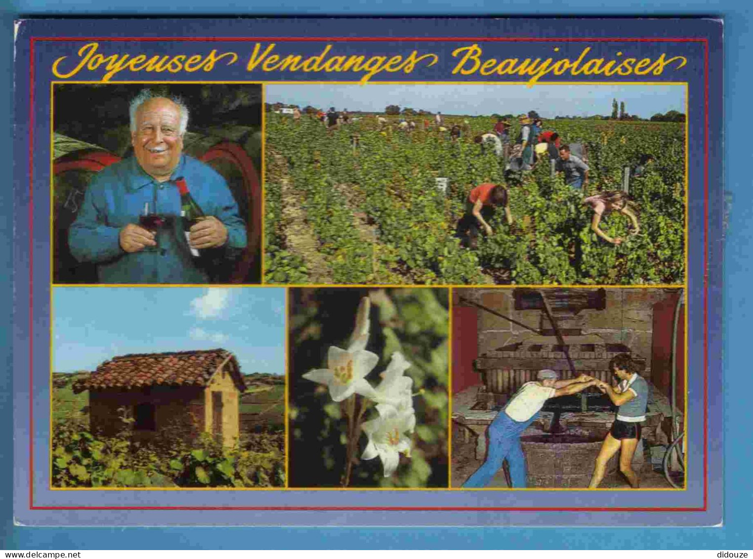 Vignes - Vendanges Beaujolaises - Multivues - Ecrite En 1988 - Vignes
