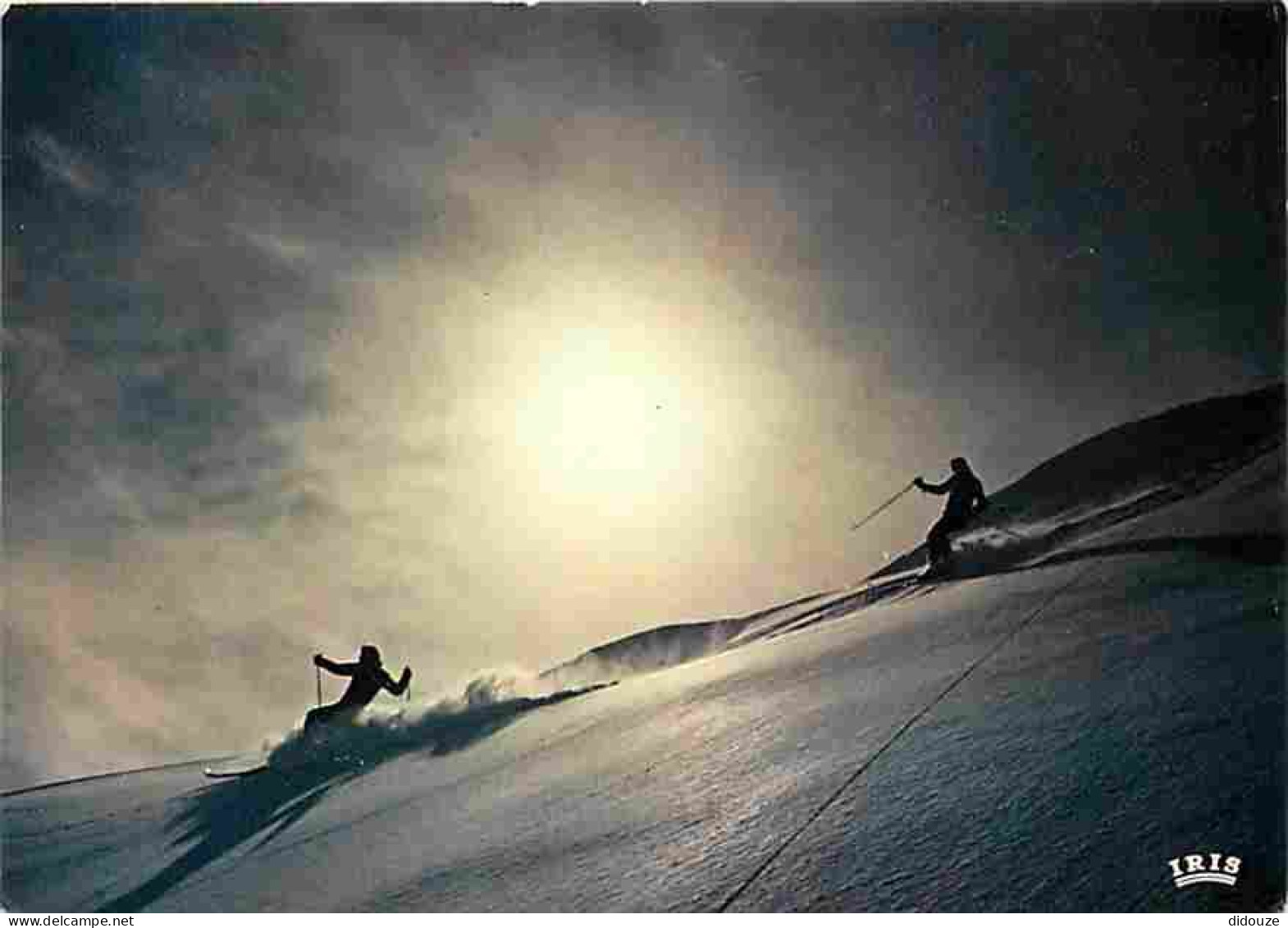 Sports - Ski - Ski Sauvage - CPM - Voir Scans Recto-Verso - Sports D'hiver