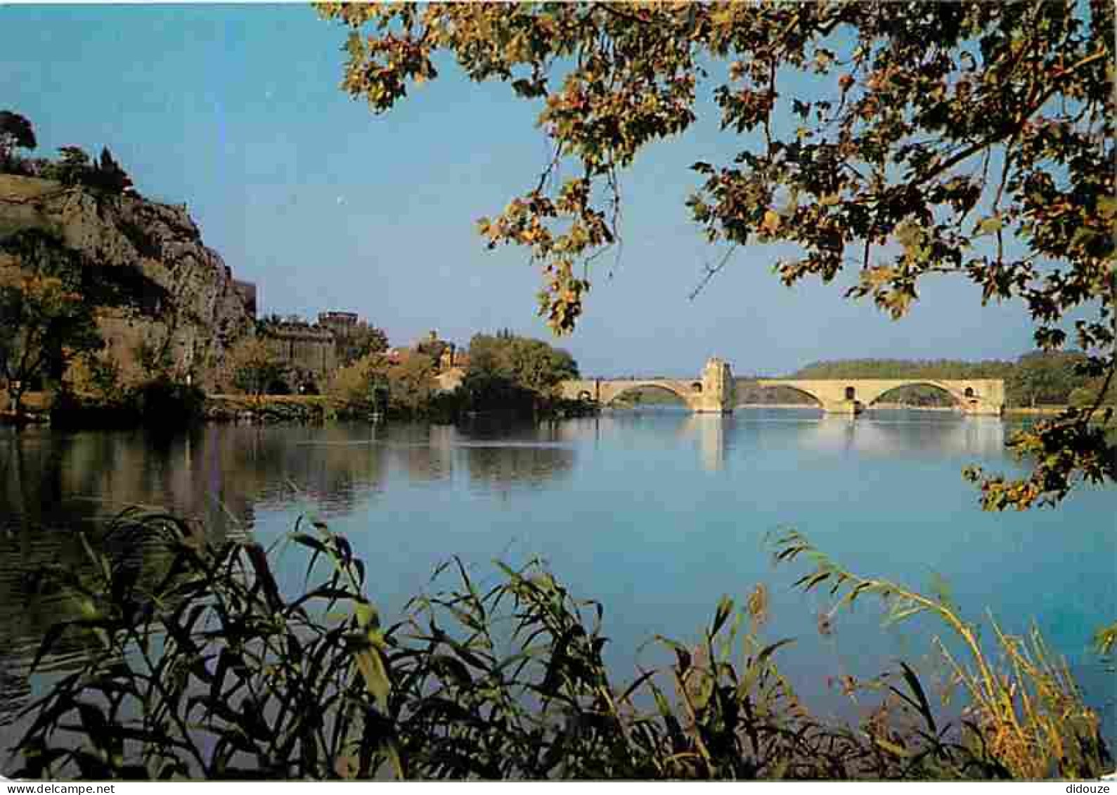 84 - Avignon - Le Rocher Des Doms Et Le Pont Saint Bénézet - CPM - Voir Scans Recto-Verso - Avignon