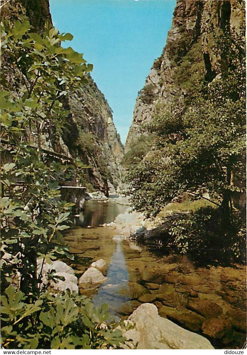 66 - Amélie Les Bains - Les Gorges Du Mondony - CPM - Voir Scans Recto-Verso - Andere & Zonder Classificatie