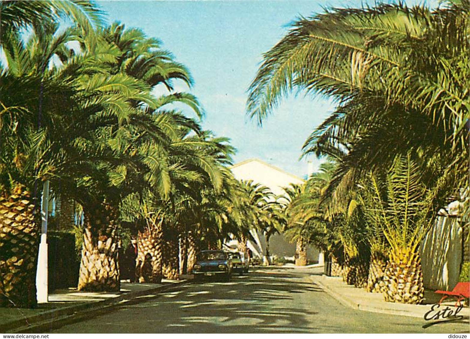 66 - Saint Cyprien - Les Palmiers - CPM - Voir Scans Recto-Verso - Saint Cyprien