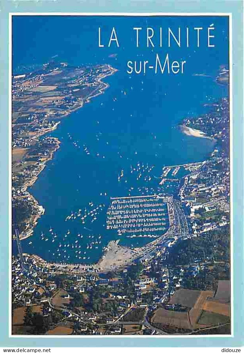 56 - La Trinité Sur Mer - La Baie - Vue Générale Aérienne - Carte Neuve - CPM - Voir Scans Recto-Verso - La Trinite Sur Mer