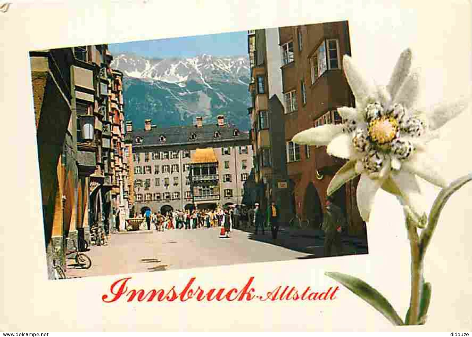 Suisse - Innsbruck - Allstadt - CPM - Voir Scans Recto-Verso - Sonstige & Ohne Zuordnung