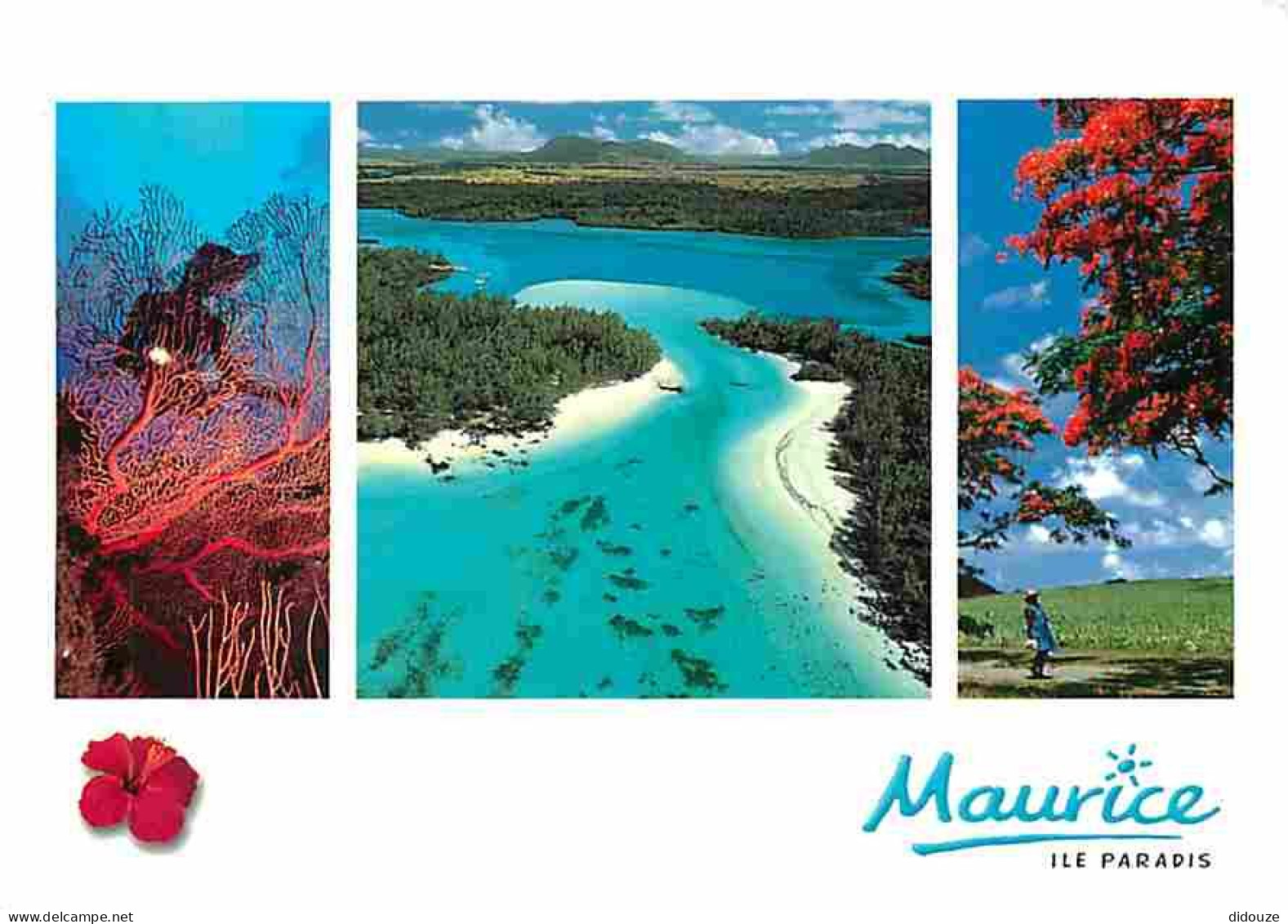 Ile Maurice - Multivues - CPM - Voir Scans Recto-Verso - Mauritius