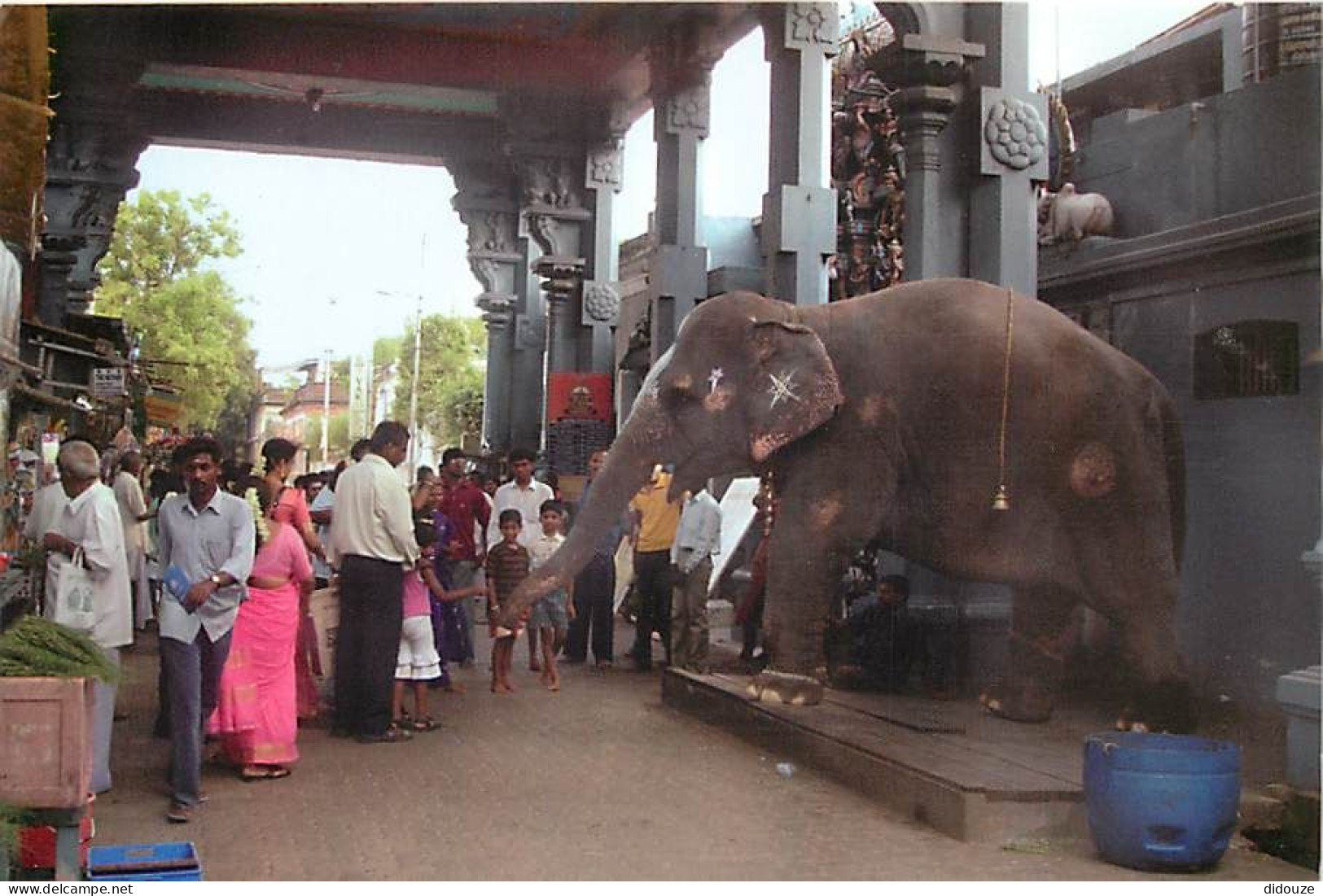 Animaux - Eléphants - Inde - India - Pondicherry - Sri Manakula Vinayagar Koil (Ganesh Temple) - CPM - Voir Scans Recto- - Elefanten