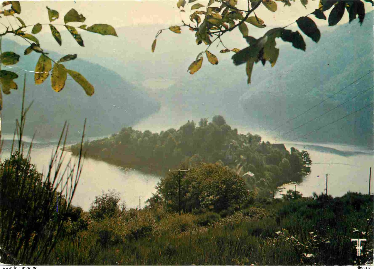 12 - Lac Du Barrage De Sarrans - Presqu'ile De Laussac - CPM - Voir Scans Recto-Verso - Sonstige & Ohne Zuordnung