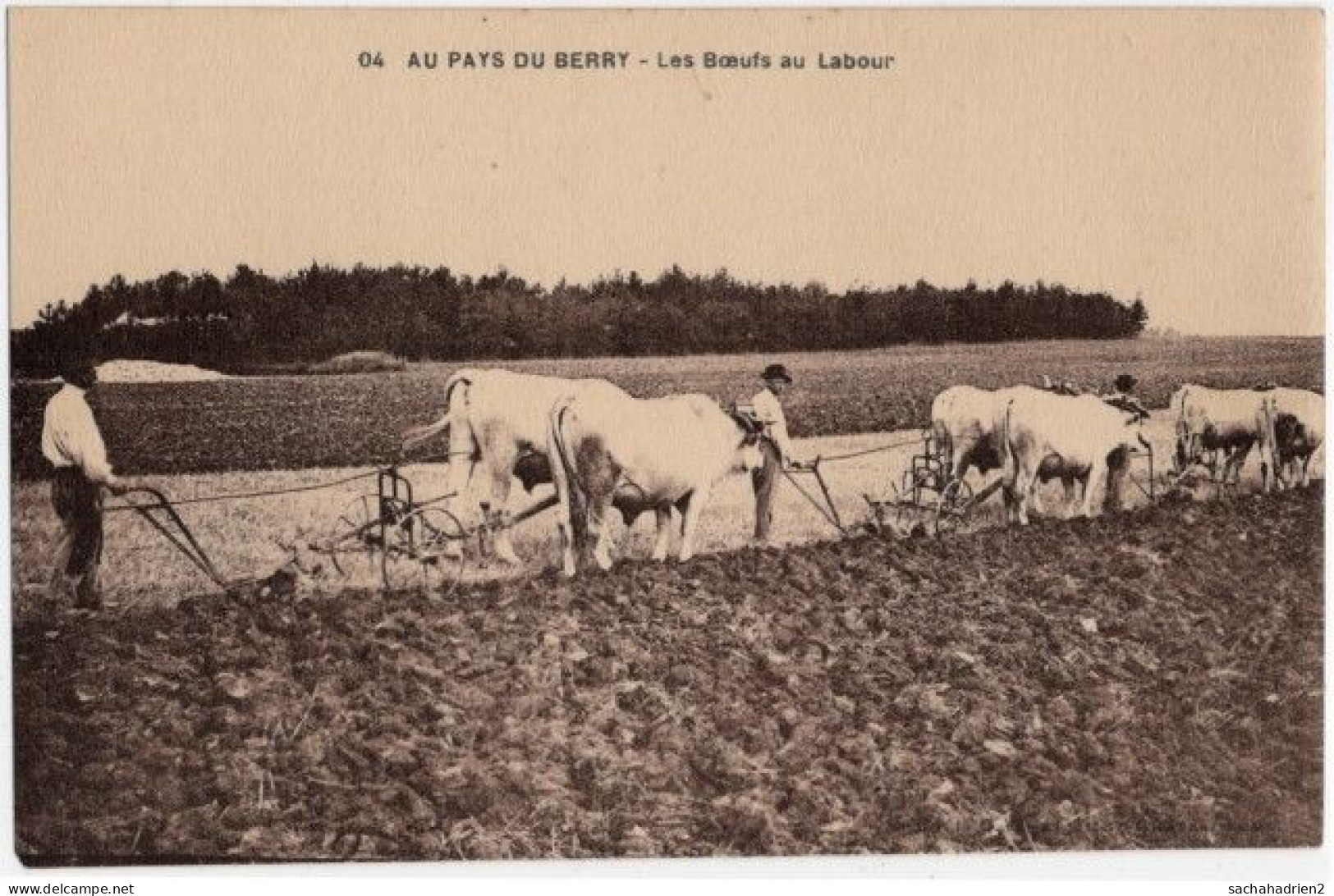 18. AU PAYS DU BERRY. Les Boeufs Au Labour. 04 - Autres & Non Classés