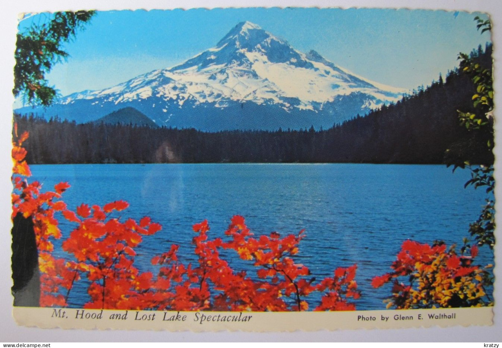 ETATS-UNIS - OREGON - Mount Hood And Lost Lake - Other & Unclassified