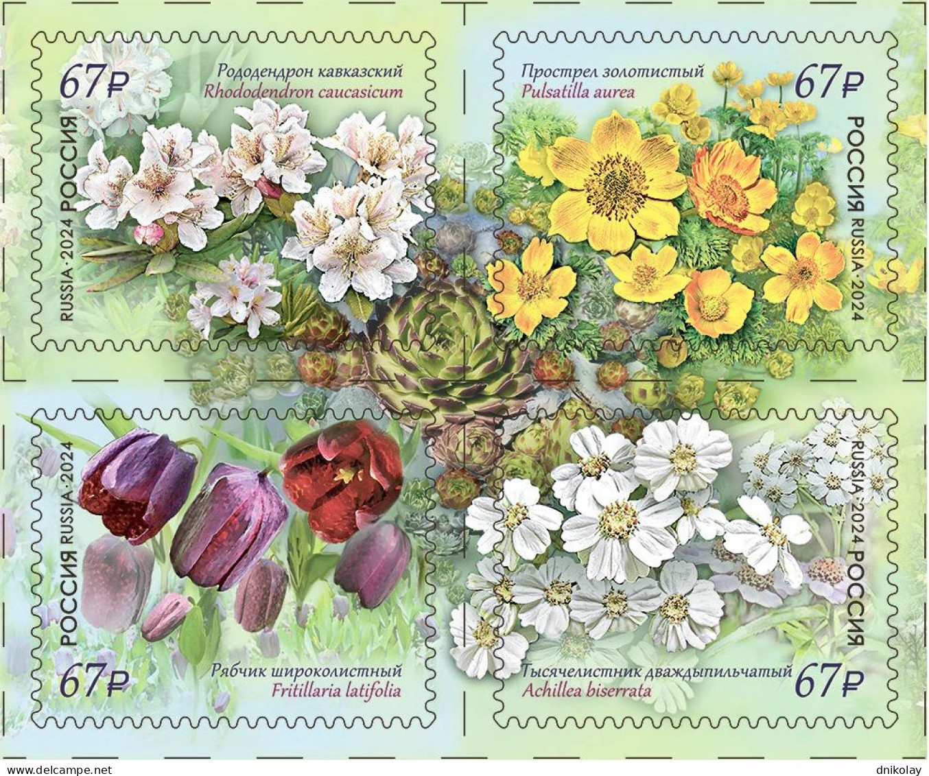 2024 3458 Russia Flora Of Russia - The 100th Anniversary Of Teh Caucasian State Reserve MNH - Unused Stamps