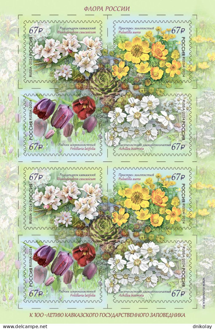 2024 3458 Russia Flora Of Russia - The 100th Anniversary Of Teh Caucasian State Reserve MNH - Nuevos