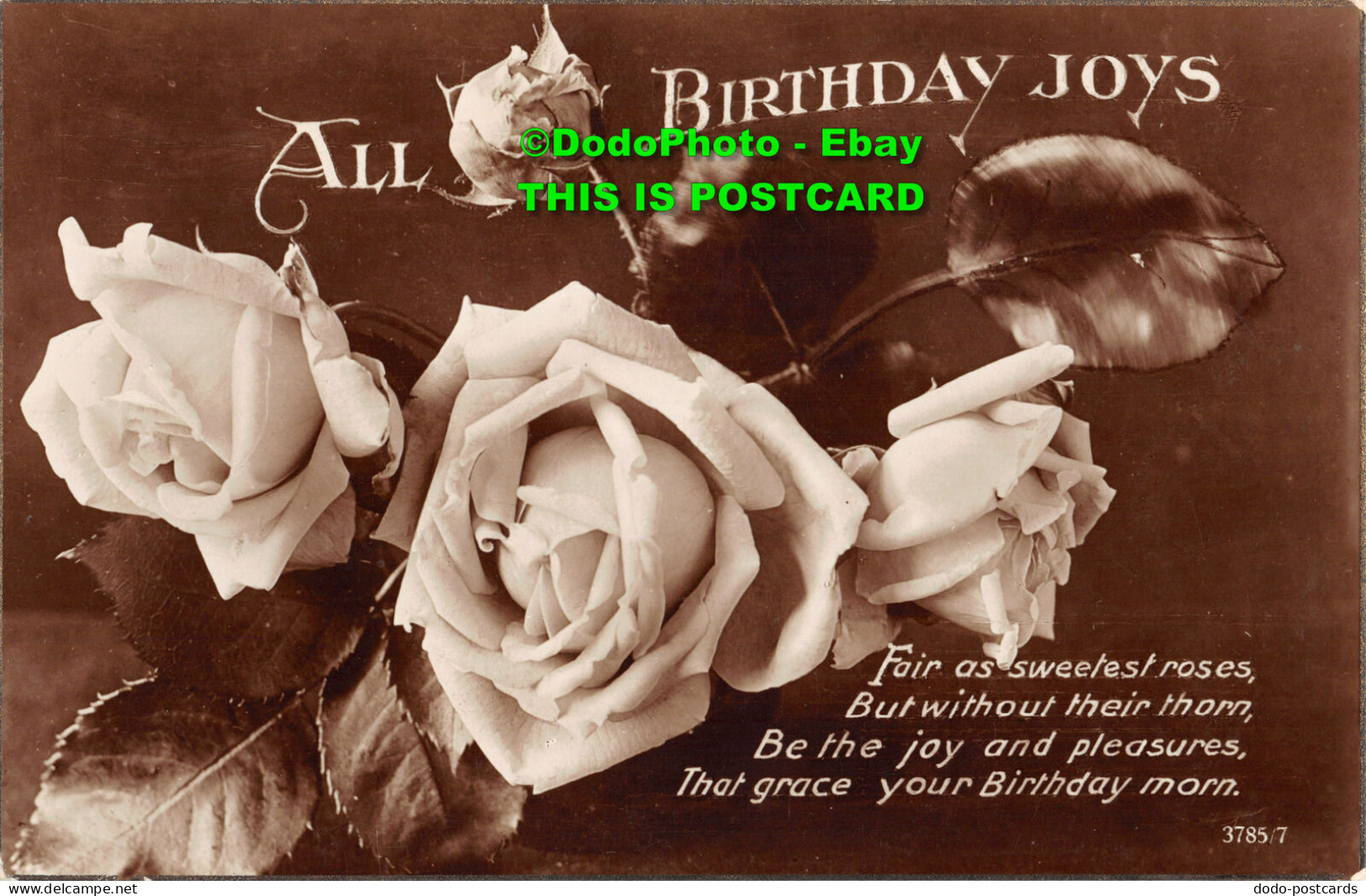 R454403 All Birthday Joys. Roses. RP. 1929 - Welt