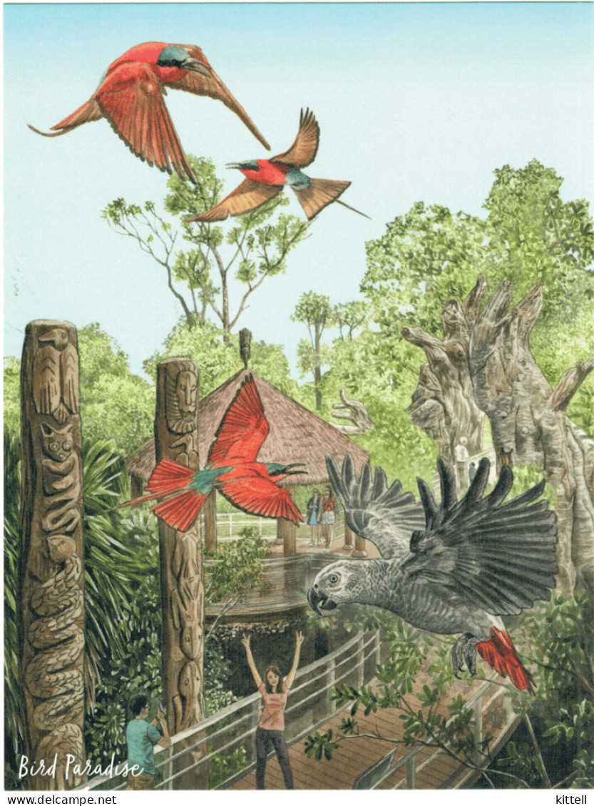 Singapore Postcard Bird Paradise Parrot - Birds