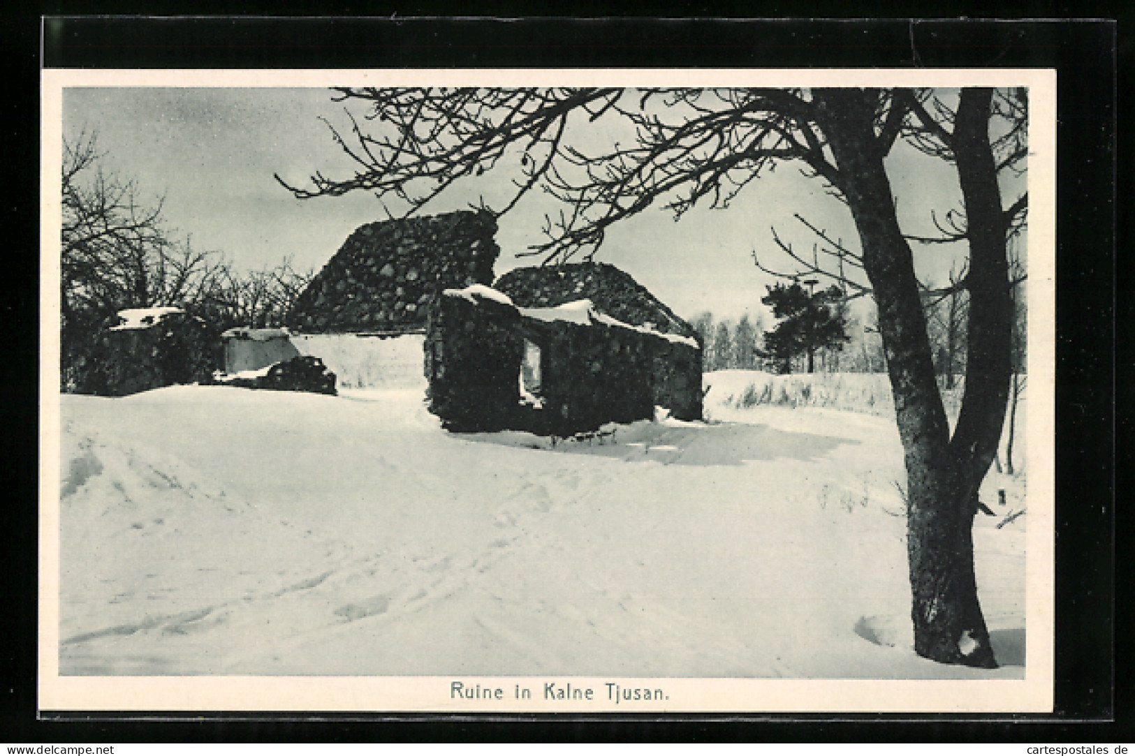 AK Kalne Tjusan, Ruine Im Winter  - Lettland