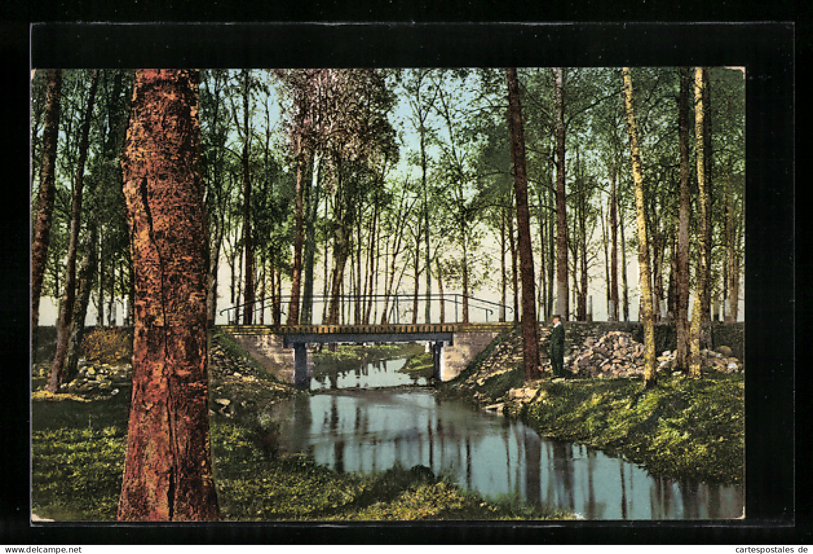 AK Oberpahlen, Waldstück Mit Flusspartie Und Brücke  - Estonie