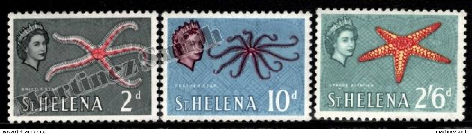 Saint Helena 1961 Yvert 143, 148, 151, Definitive Values, Sea Fauna, Starfish - Individual Stamps - MNH - Saint Helena Island