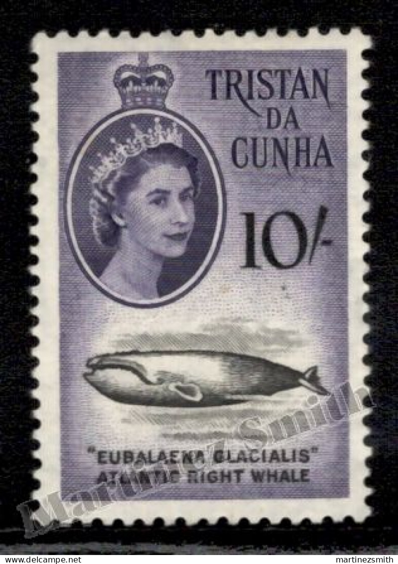 Tristan Da Cunha 1961 Yvert 41, Definitive Value, Sea Fauna, Atlantic Whale - Queen Elizabeth - Individual Stamp - MLH - Tristan Da Cunha