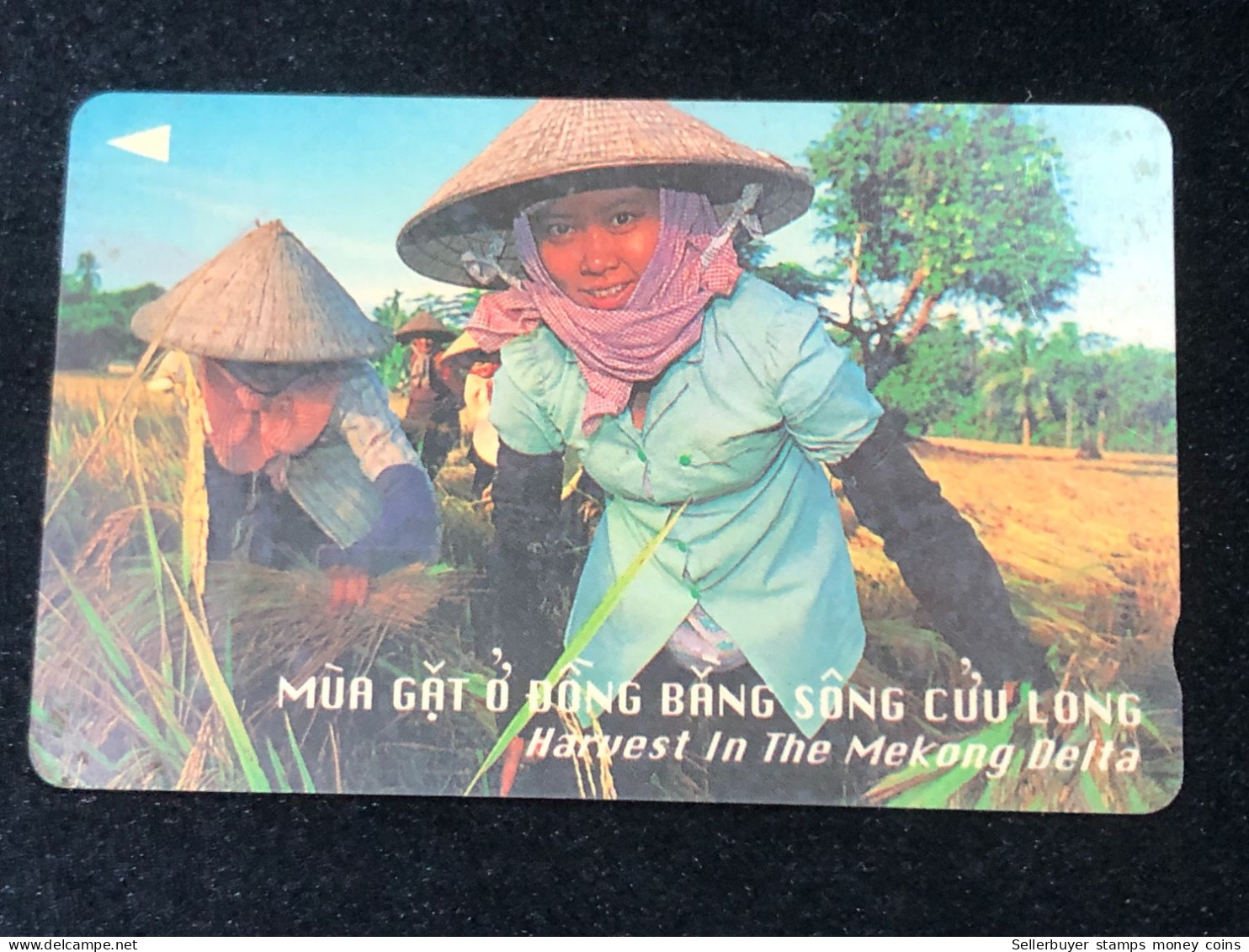 Card Phonekad Vietnam(harverst In Mekong Delta- 150 000dong-1995)-1pcs - Vietnam