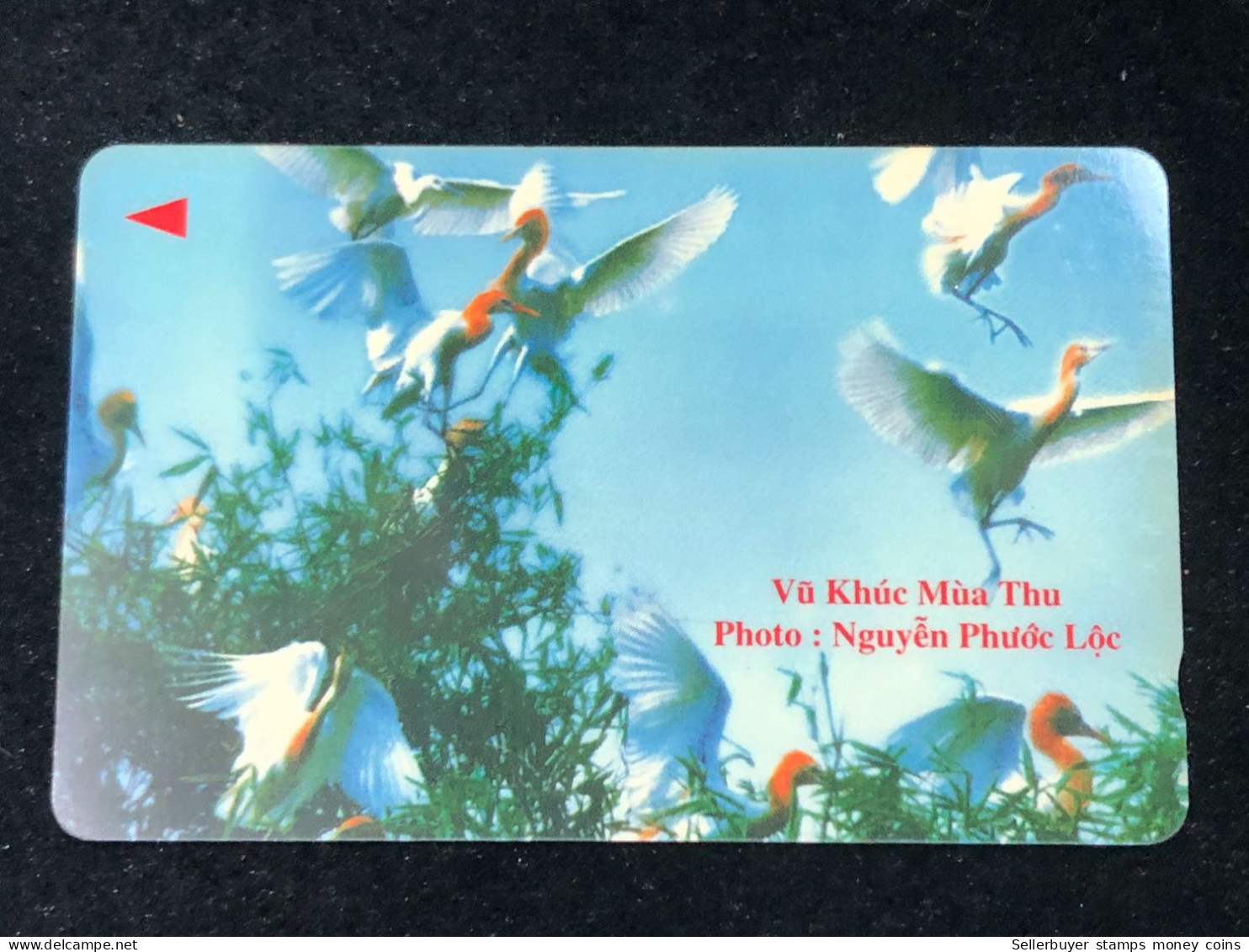 Card Phonekad Vietnam(fiying Lbises- 30 000dong-1998)-1pcs - Viêt-Nam