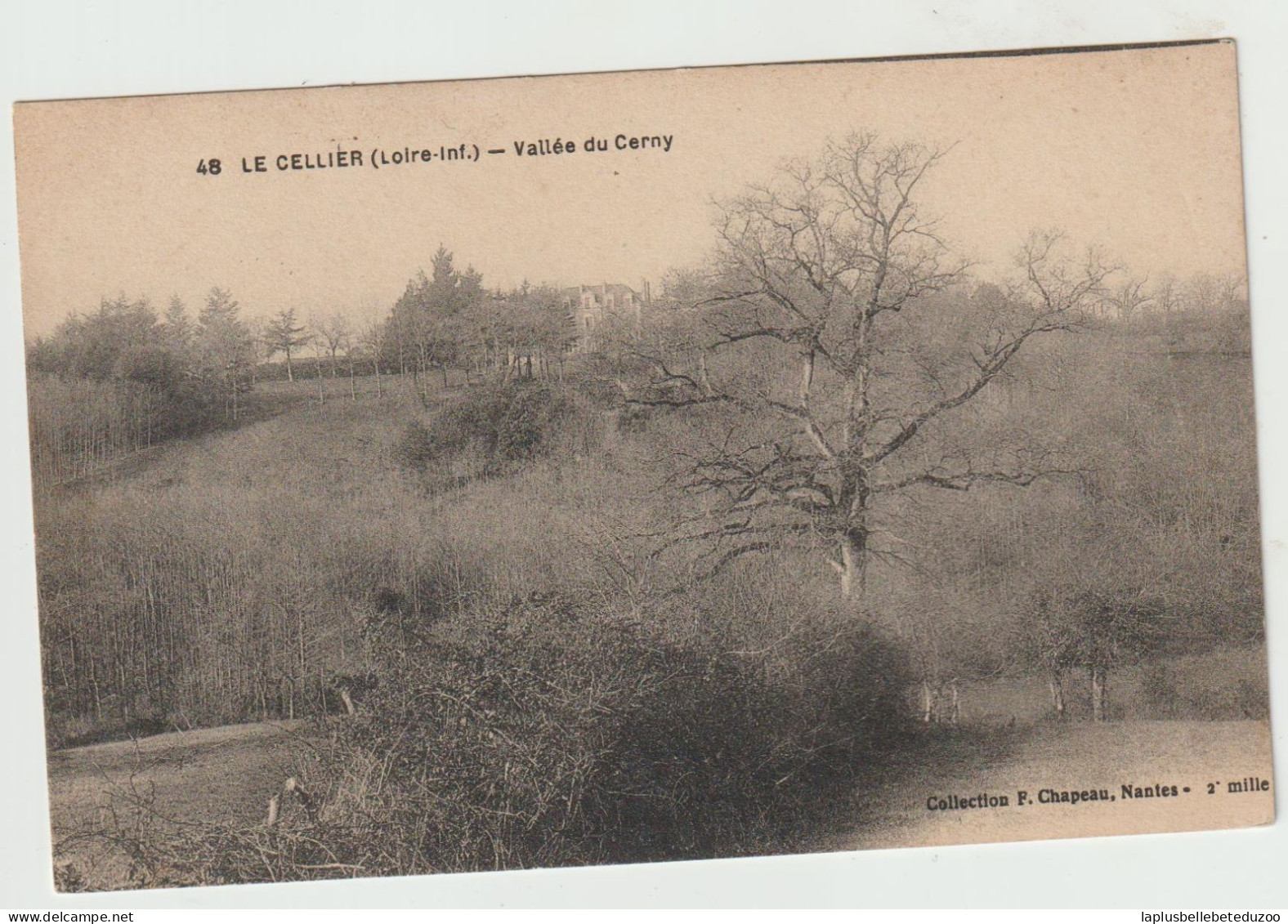 CPA - 44 - LE CELLIER - Vallée Du Cerny - Vers 1920 - Le Cellier