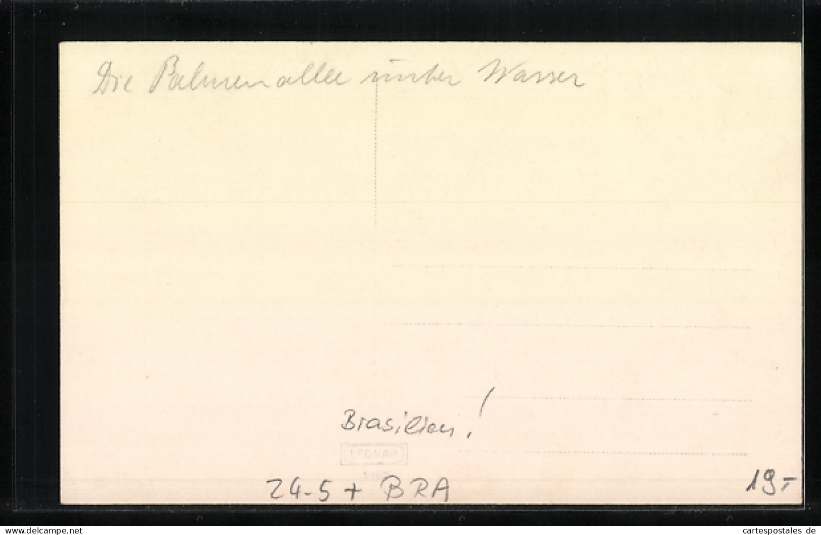 AK Blumenau, Hochwasser In Der Palmenallee 9.11.1927  - Otros & Sin Clasificación