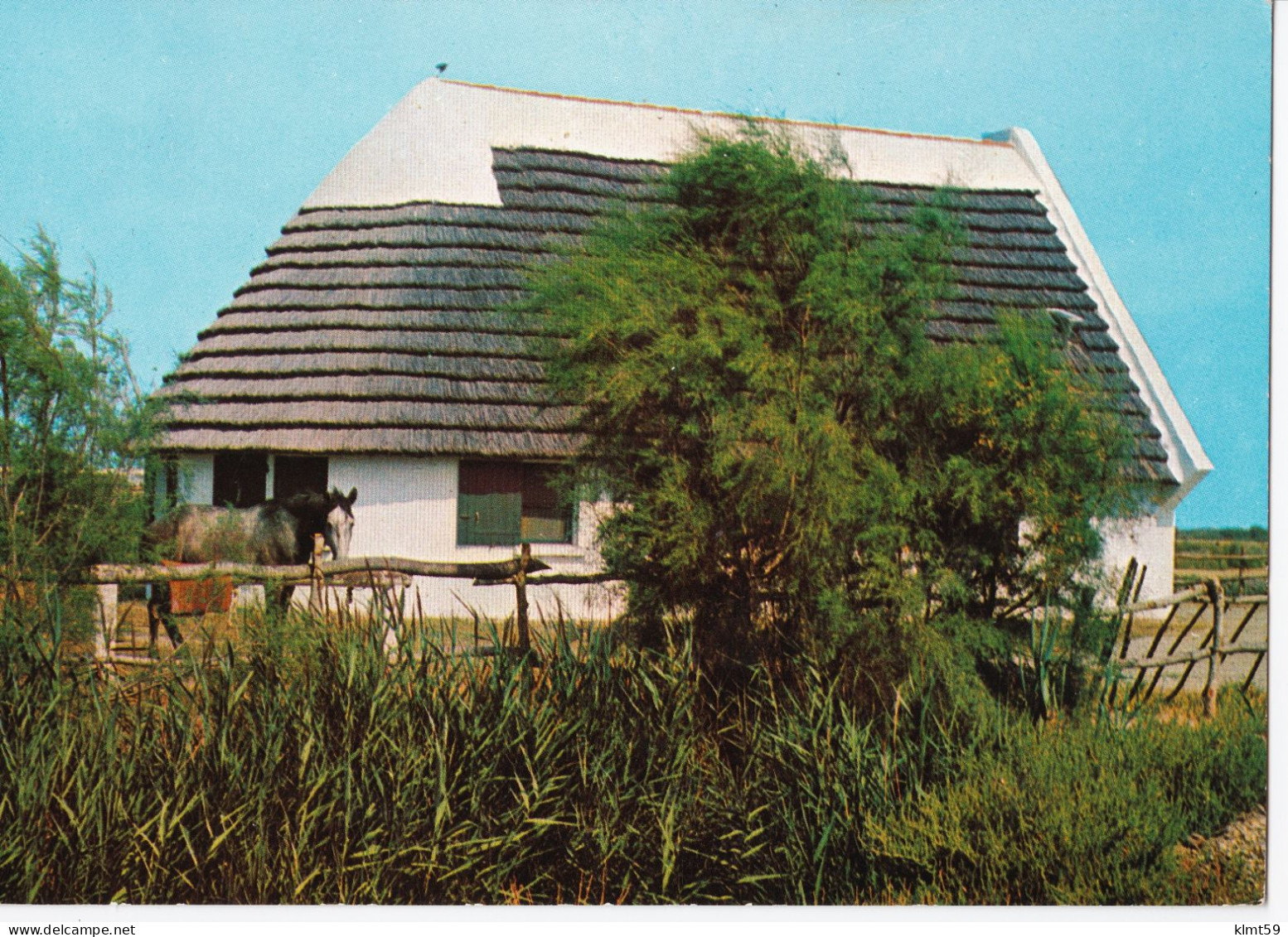 Les Belles Images De Camargue - Cabane De Gardian - Sonstige & Ohne Zuordnung