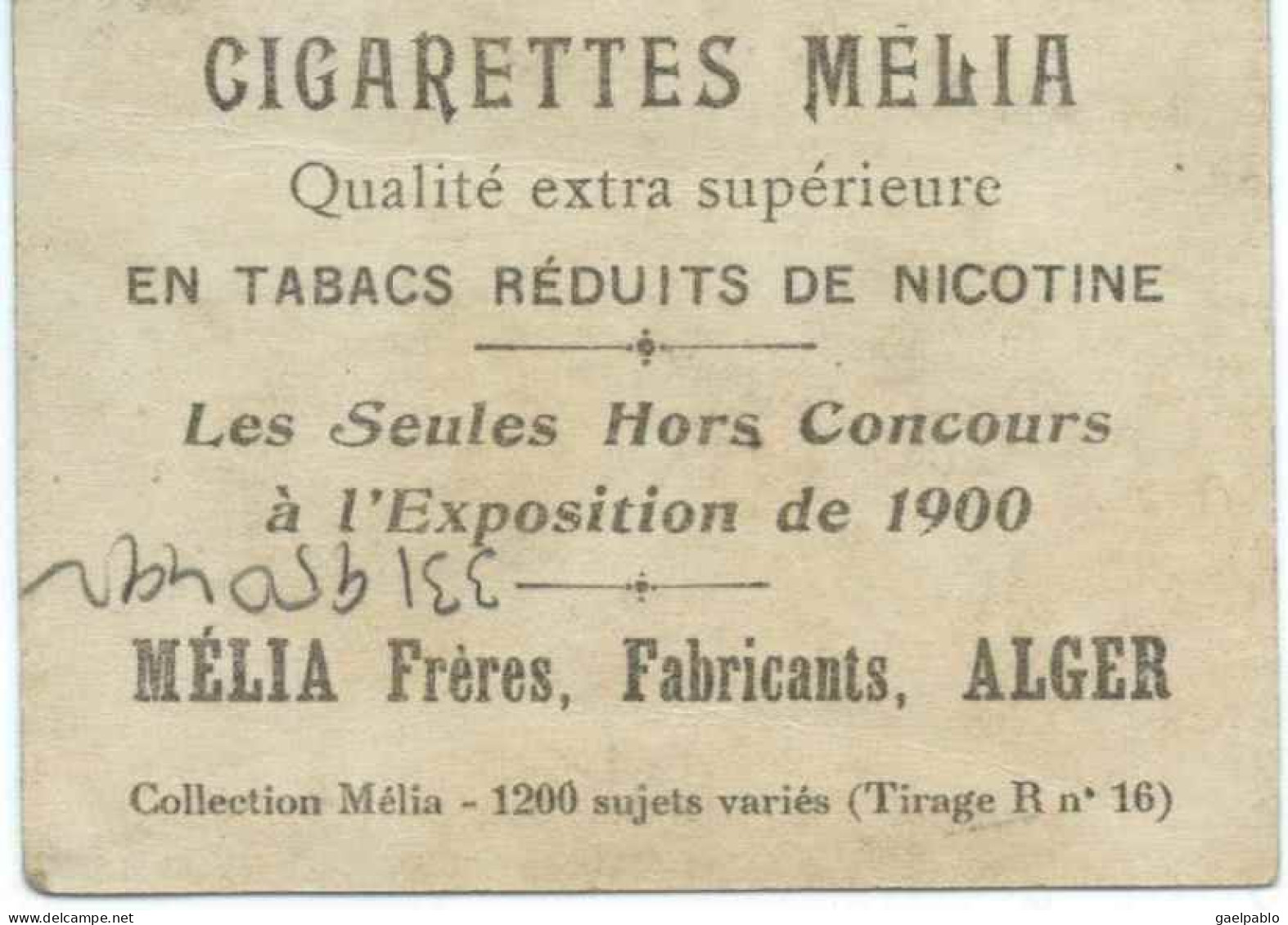 CIGARETTES MELIA  -  CARDHAIA  - Tirage R N° 16 - Melia