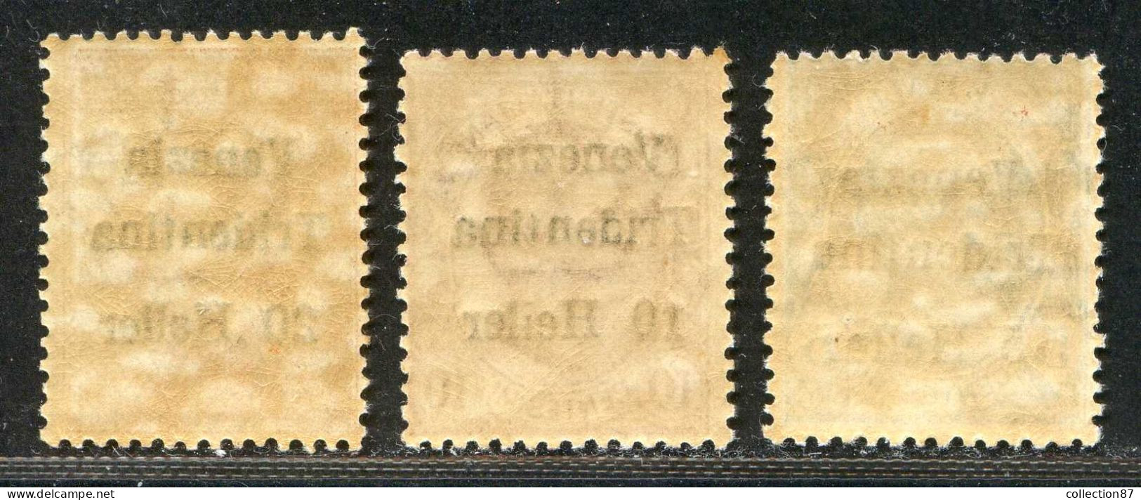 REF094 > ITALIE TRENTIN < Yv N° 28 ** + 29 ** + 30 ** MNH * * Dos Visible - Trento