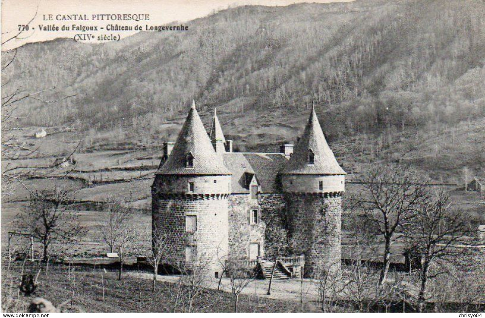 4V4Sb   15 Vallée Du Falgoux Chateau De Longevernhe - Other & Unclassified
