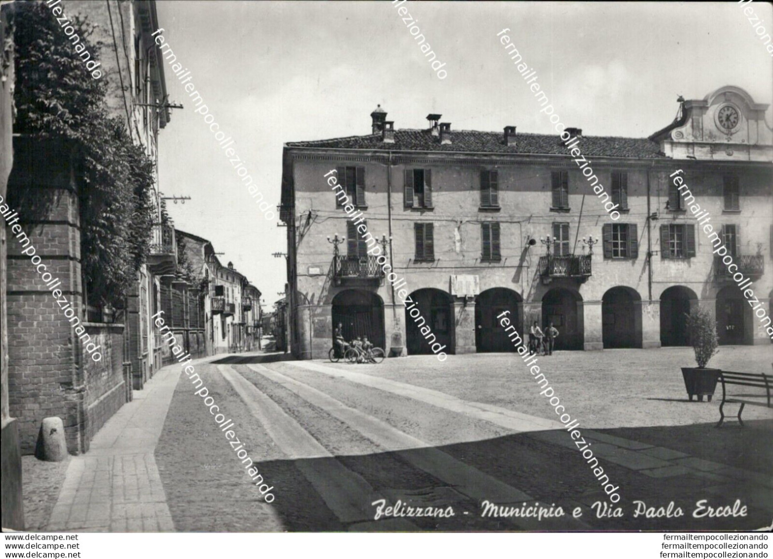 Au339 Cartolina Felizzano Municipio E Via Paolo Ercole Alessandria - Alessandria