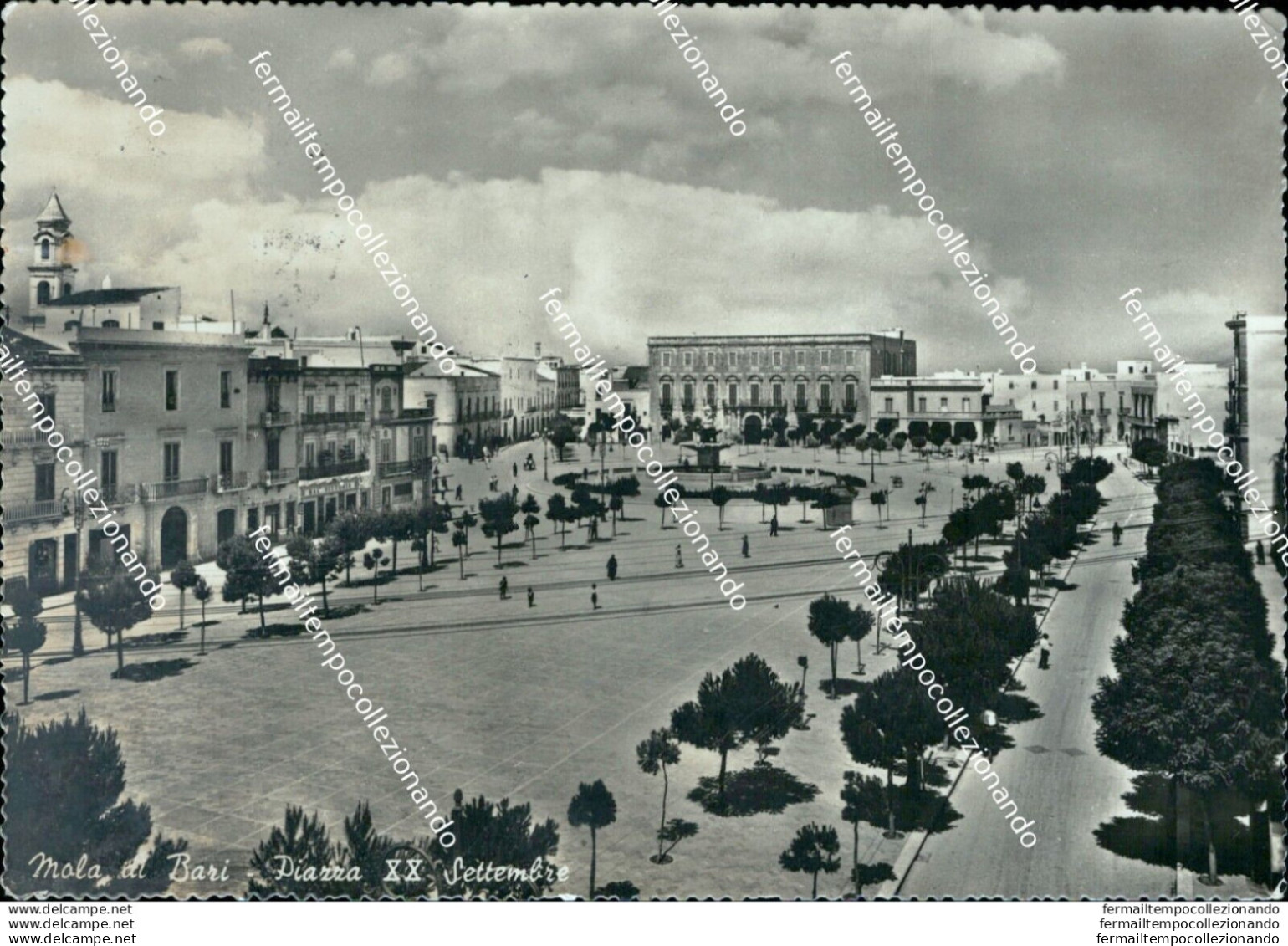 M732 Cartolina Mola Di Bari Piazza Xx Settembre - Bari