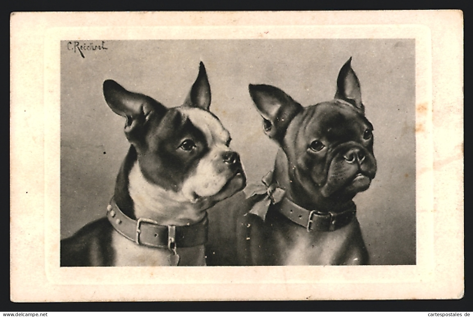 Künstler-AK Carl Reichert: Zwei Französische Bulldoggen Mit Halsband  - Other & Unclassified