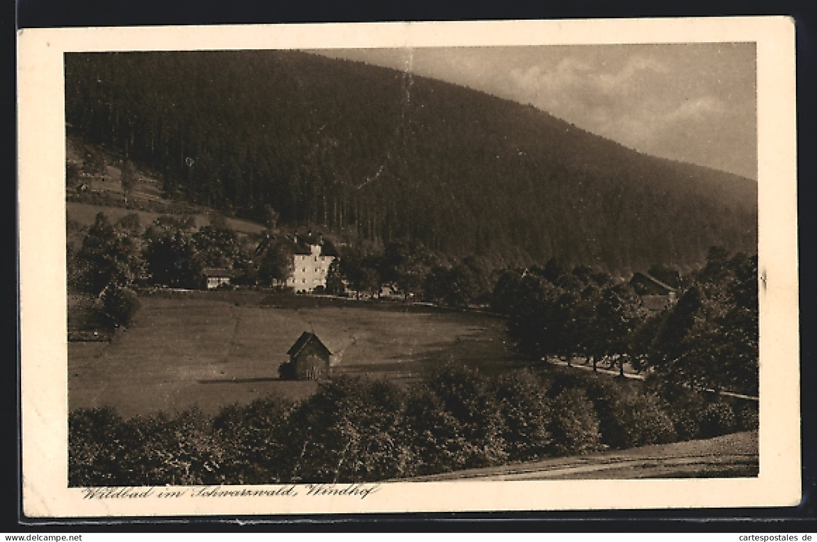 AK Wildbad Im Schwarzwald, Ansicht Gasthof Und Pension Windhof  - Other & Unclassified