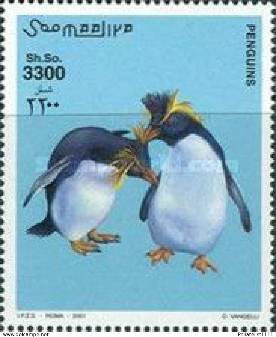 Penguins Wildlife - Somalie (1960-...)