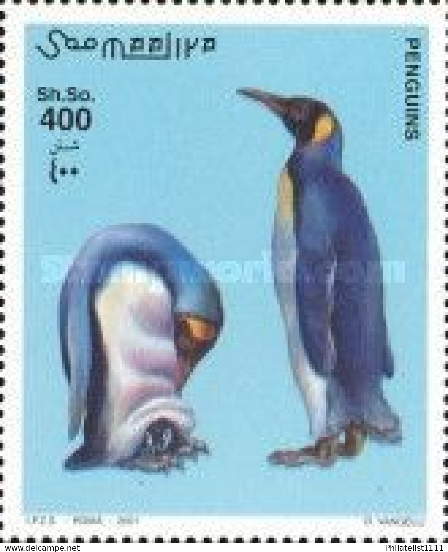 Penguins Wildlife - Somalia (1960-...)