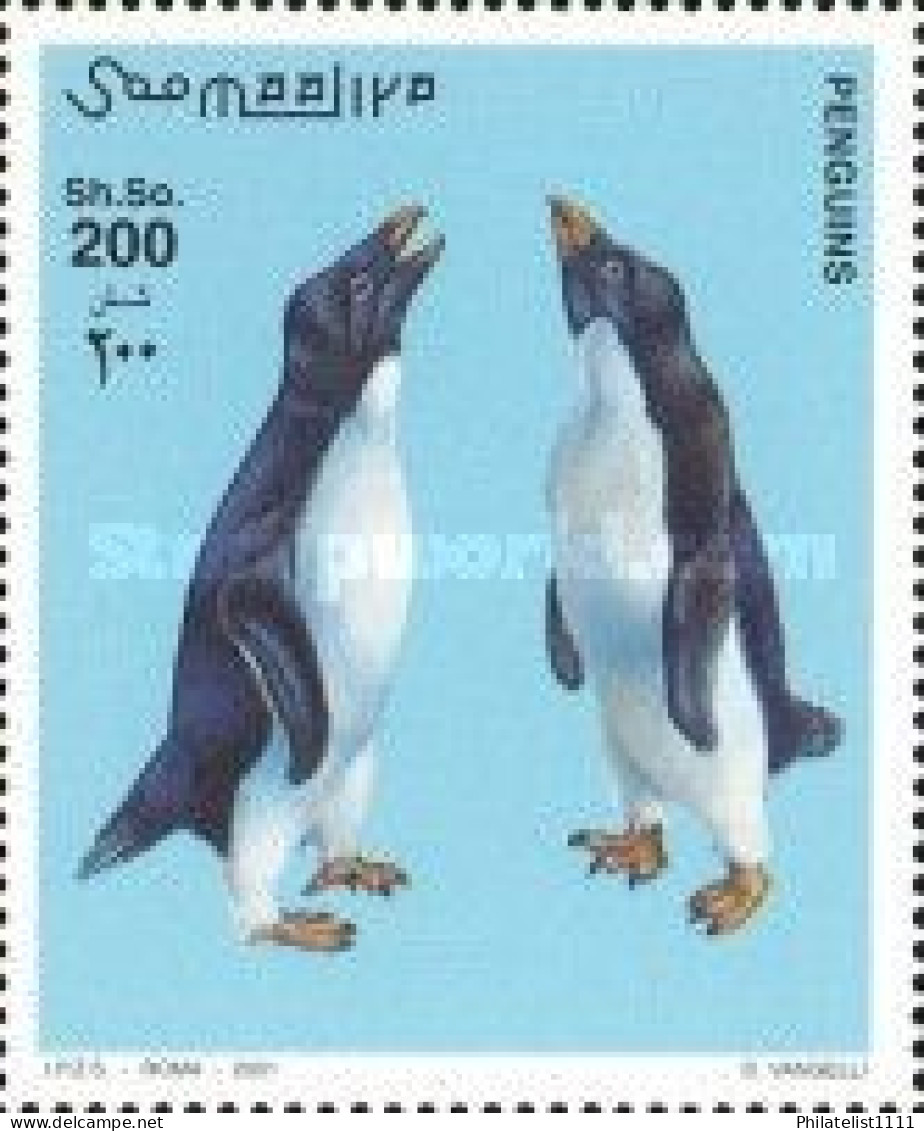 Penguins Wildlife - Somalia (1960-...)