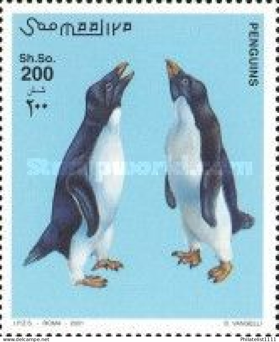 Penguins Wildlife - Somalie (1960-...)