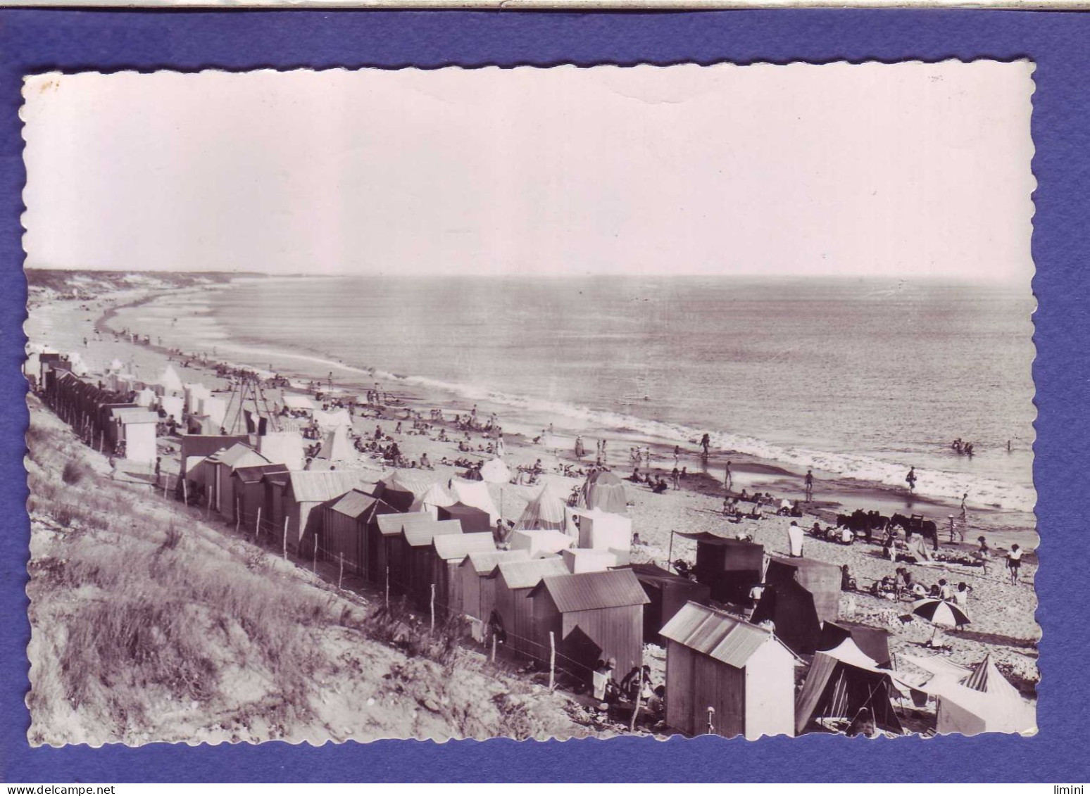 17 - ILE De RE - PLAGE De GROS JONG -  - Ile De Ré