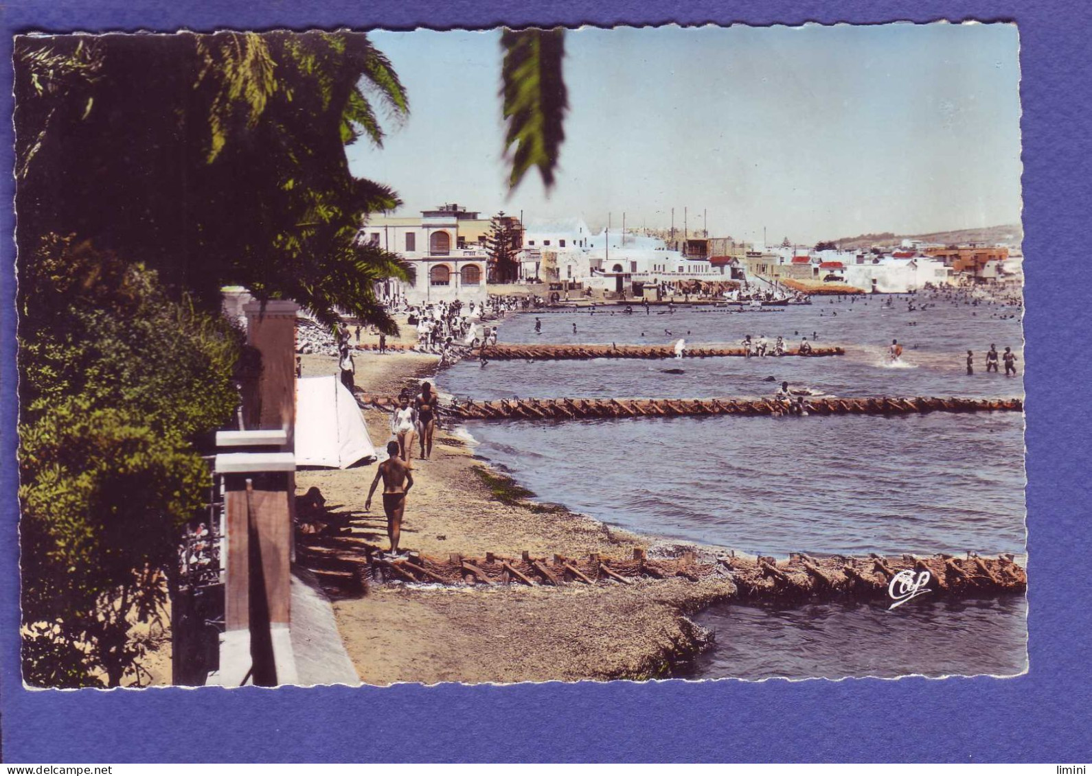 TUNISIE - LE KRAM - LA PLAGE - ANIMEE -  - Tunisie